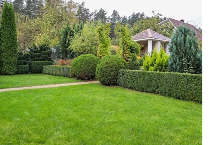 Outdoor Landscaping & Outdoor Furniture